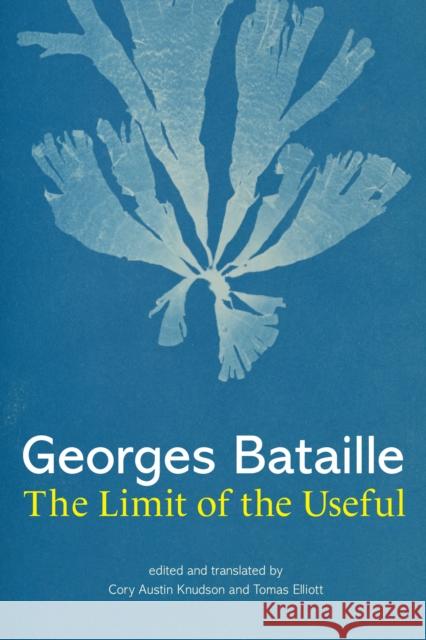 The Limit of the Useful Cory Austin Knudson 9780262047333 MIT Press Ltd - książka