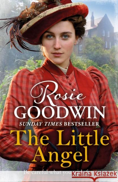 The Little Angel: The perfect heartwarming read from the Sunday Times bestselling author Rosie Goodwin 9781785762369  - książka