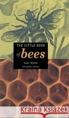 The Little Book of Bees Karl Weiss 9780387952529 Copernicus Books - książka