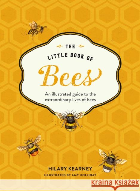 The Little Book of Bees: An Illustrated Guide to the Extraordinary Lives of Bees Hilary Kearney 9780008324278 HarperCollins Publishers - książka