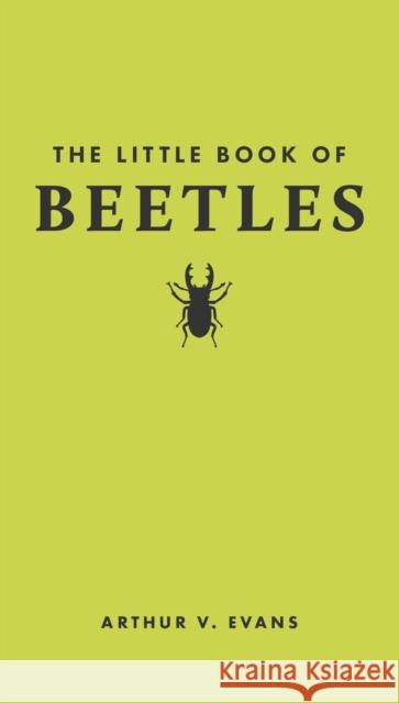 The Little Book of Beetles Arthur V. Evans 9780691251776 Princeton University Press - książka