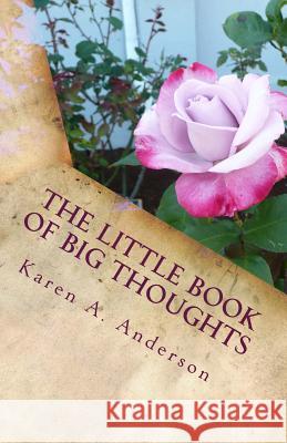 The Little Book of BIG Thoughts--Vol. 3 Anderson, Karen a. 9781492780496 Createspace - książka