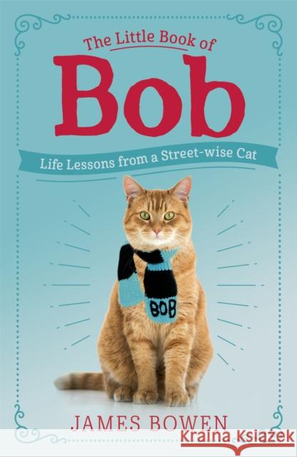 The Little Book of Bob: Everyday wisdom from Street Cat Bob James Bowen 9781473688537 Hodder & Stoughton - książka