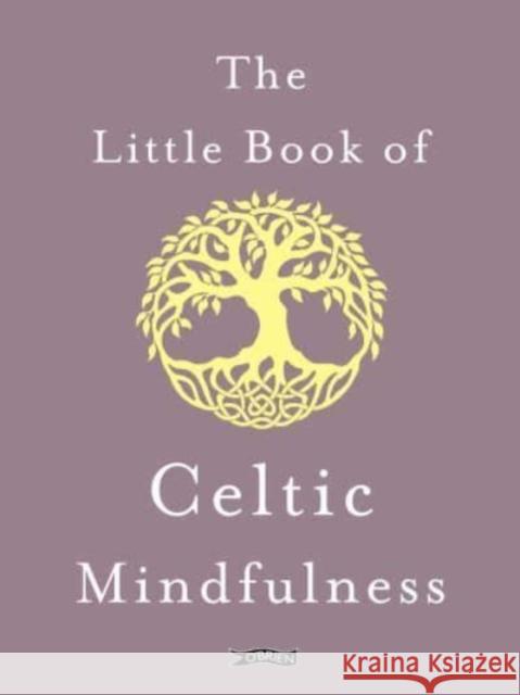 The Little Book of Celtic Mindfulness Kunak McGann 9781788494885 O'Brien Press Ltd - książka