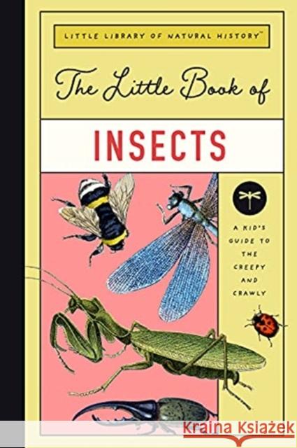 The Little Book of Insects: A Kid's Guide to the Creepy and Crawly Forrest Everett 9781638190042 GLOBAL PUBLISHER SERVICES - książka