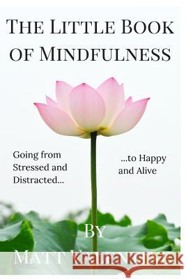 The Little Book of Mindfulness Matt Valentine 9780692328446 Buddhaimonia Publishing - książka