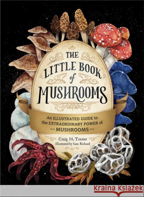 The Little Book of Mushrooms: An Illustrated Guide to the Extraordinary Power of Mushrooms Craig M. Trester Sara Richard 9781507219591 Adams Media Corporation - książka