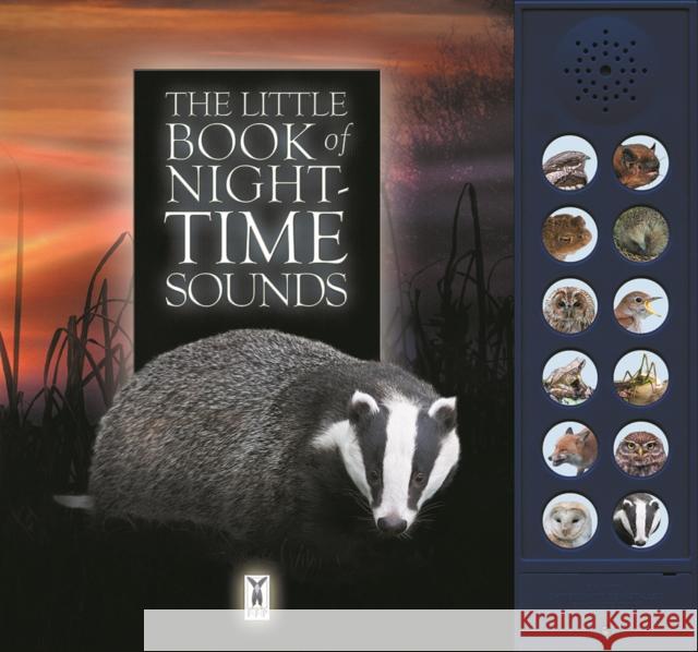 The Little Book of Night-Time Animal Sounds Andrea Pinnington 9781908489272 Fine Feather Press Ltd - książka