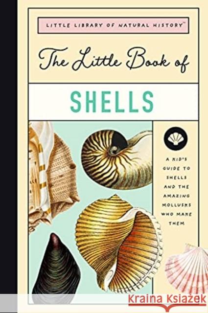 The Little Book of Shells: A Guide to Shells and the Amazing Creatures Who Make Them Farley, Christin 9781638190073 Bushel & Peck Books - książka