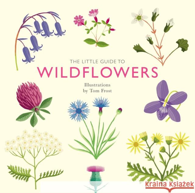 The Little Guide to Wildflowers Alison Davies 9781787139589 Quadrille Publishing Ltd - książka