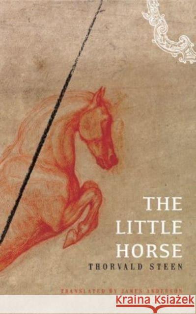 The Little Horse Thorvald Steen James Anderson 9781803094472 Seagull Books - książka