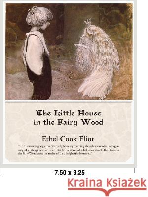 The Little House in the Fairy Wood Ethel Coo 9781605972251 Book Jungle - książka