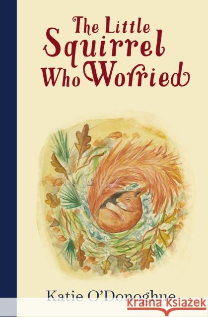 The Little Squirrel Who Worried Katie O'Donoghue 9780717192304 Gill - książka