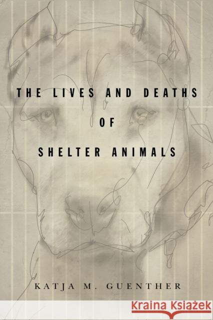 The Lives and Deaths of Shelter Animals: The Lives and Deaths of Shelter Animals Guenther, Katja M. 9781503612037 Stanford University Press - książka