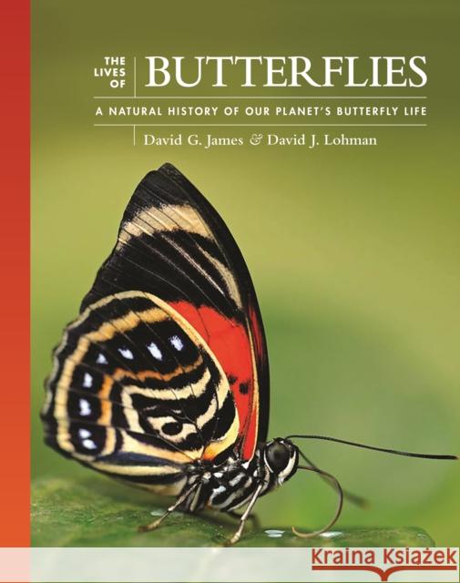 The Lives of Butterflies: A Natural History of Our Planet's Butterfly Life David G. James 9780691240565 Princeton University Press - książka