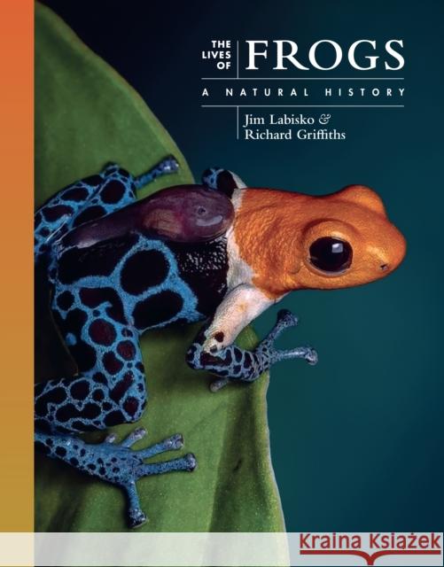 The Lives of Frogs: A Natural History Dr. Richard (Emeritus Professor) Griffiths 9780691255019 Princeton University Press - książka