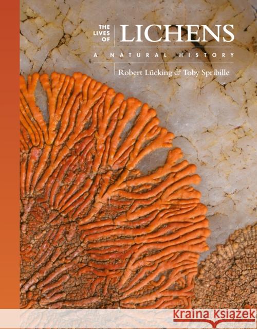 The Lives of Lichens: A Natural History  9780691247274 Princeton University Press - książka