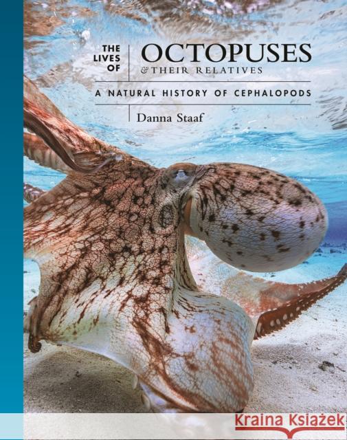 The Lives of Octopuses and Their Relatives: A Natural History of Cephalopods Danna Staaf 9780691244303 Princeton University Press - książka