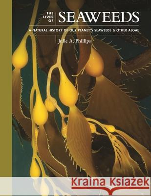 The Lives of Seaweeds: A Natural History of Our Planet's Seaweeds and Other Algae Phillips, Julie A. 9780691228556 Princeton University Press - książka