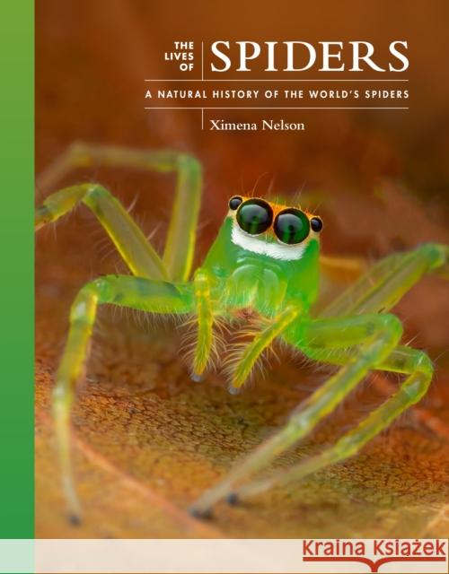 The Lives of Spiders: A Natural History of the World's Spiders  9780691255026 Princeton University Press - książka