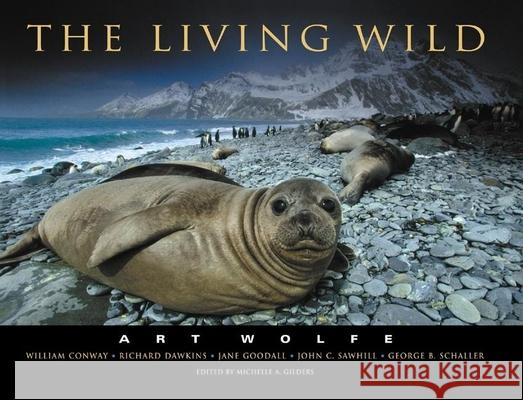 The Living Wild Art Wolfe Michelle A. Gilders William Conway 9780967591803 Wildlands Press - książka