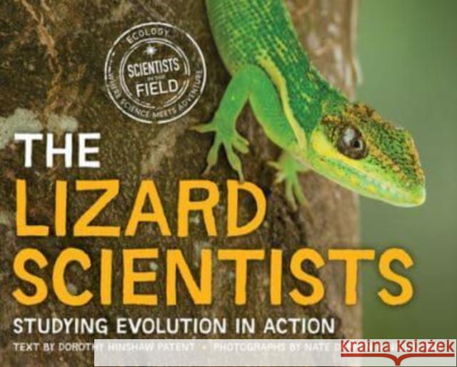 The Lizard Scientists: Studying Evolution in Action Dorothy Hinshaw Patent 9780358381402 Clarion Books - książka