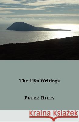 The Llyn Writings Peter Riley 9781905700158 Shearsman Books - książka