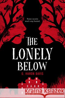 The Lonely Below G. Haron Davis 9781338825121 Scholastic US - książka