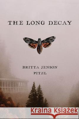 The Long Decay  9780578303796 Britta Pitzl - książka