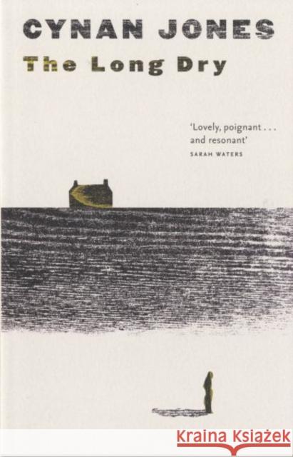 The Long Dry Cynan Jones 9781783780402 Granta Books - książka