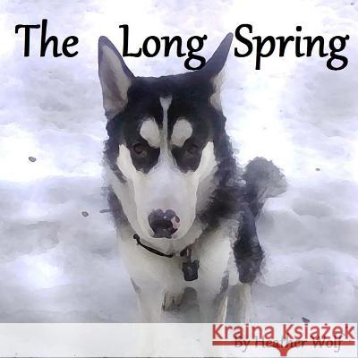 The Long Spring Heather Wolf 9781499146400 Createspace - książka