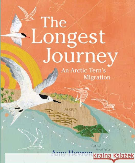 The Longest Journey: An Arctic Tern's Migration Amy Hevron 9780823447008 Neal Porter Books - książka