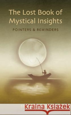 The Lost Book of Mystical Insights: Pointers & Reminders Stephen D'Amico   9780973801033 Ameek Press - książka