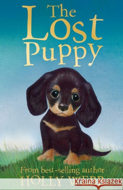 The Lost Puppy Holly Webb 9781847152244 Little Tiger Press Group - książka