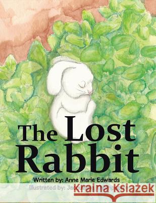 The Lost Rabbit Anne Marie Edwards 9781524545802 Xlibris - książka