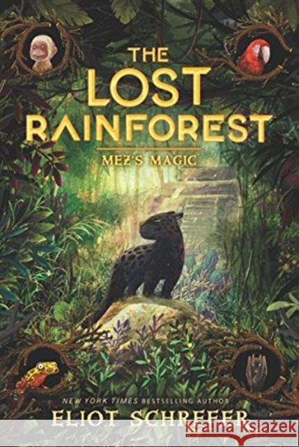 The Lost Rainforest #1: Mez's Magic Eliot Schrefer 9780062491138 HarperCollins Publishers Inc - książka