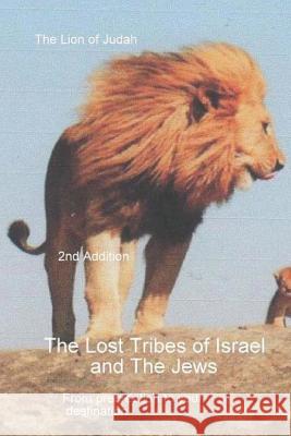 The Lost Tribes Tribes Of Israel And The Jews Van Der Merwe, Cobus 9781484979129 Createspace - książka