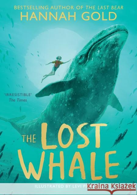 The Lost Whale Hannah Gold 9780008412968 HarperCollins Publishers - książka