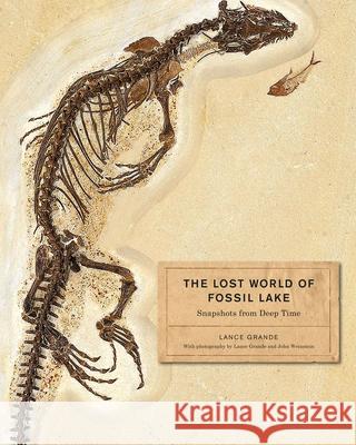 The Lost World of Fossil Lake: Snapshots from Deep Time Grande, Lance 9780226922966 University of Chicago Press - książka