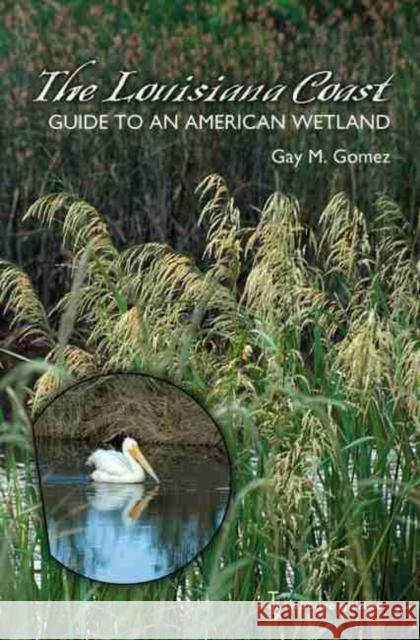 The Louisiana Coast, Volume 15: Guide to an American Wetland Gomez, Gay M. 9781603440332 Texas A&M University Press - książka