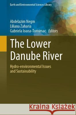 The Lower Danube River: Hydro-Environmental Issues and Sustainability Negm, Abdelazim 9783031038648 Springer International Publishing - książka