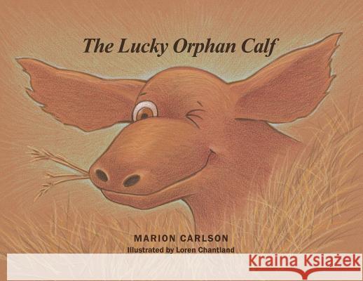 The Lucky Orphan Calf Marion Carlson 9781480975019 Rosedog Books - książka