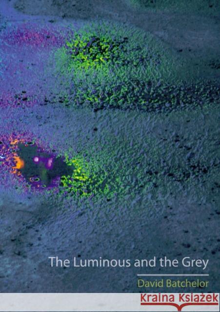 The Luminous and the Grey David Batchelor 9781780232805 Reaktion Books - książka