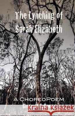 The Lynching of Sarah Elizabeth Ginger M. Galloway 9780991297573 Jamii Publishing - książka