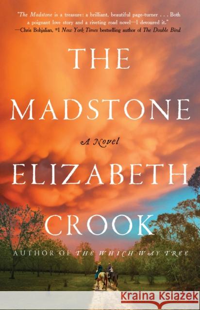 The Madstone Elizabeth Crook 9780316564342 Little Brown and Company - książka