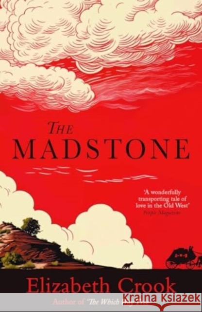 The Madstone Elizabeth Crook 9781835011027 Bedford Square Publishers - książka