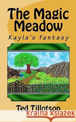 The Magic Meadow Ted Tillotson 9780615435602 Dragon Lair Books - książka