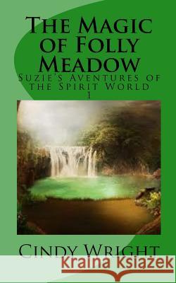 The Magic of Folly Meadow Cindy Wright 9781482690750 Createspace - książka