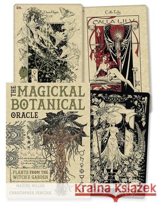 The Magickal Botanical Oracle: Plants from the Witch's Garden Maxine Miller Christopher Penczak 9780738774077 Llewellyn Publications - książka