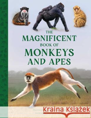 The Magnificent Book of Monkeys and Apes Barbara Taylor Simon Treadwell 9781681888989 Weldon Owen - książka